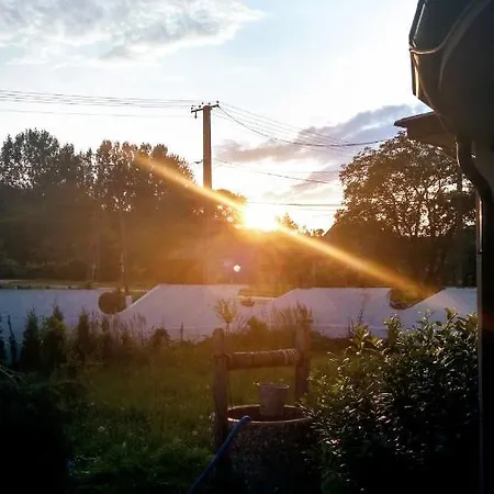 Sunsett+t *